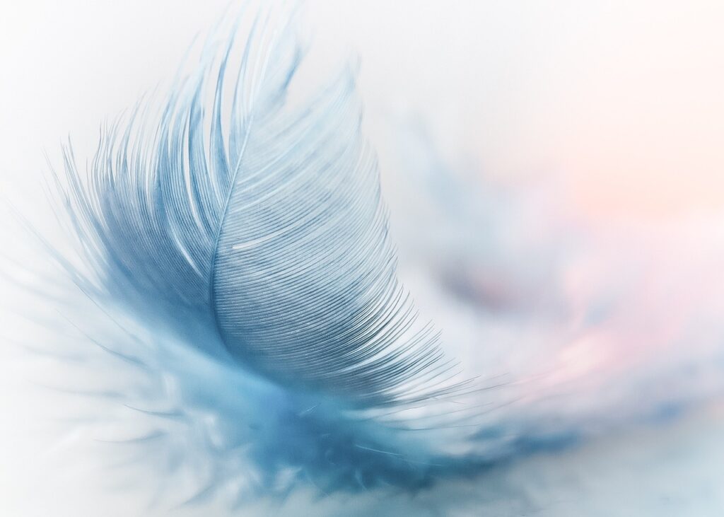 feather, ease, slightly, blue, airy, close up, featherweight, flying, wind, lightweight, nature, ostrich feather, fluffy, nature wallpaper, nature background, swing, float, cool wallpaper, feather, feather, feather, feather, blue, blue, beautiful nature, wind, wind, nature, nature, nature, hd wallpaper, nature, nature