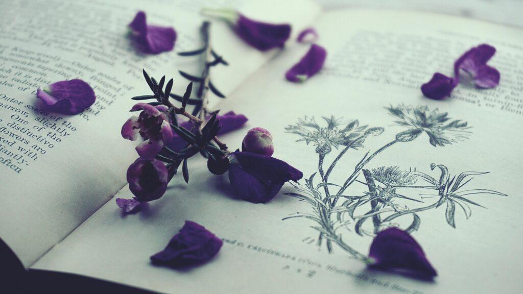 An artistic close-up of purple petals scattered on an open book with botanical illustrations.