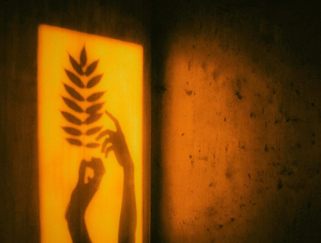 Artistic shadow of hands and leaves on a warm-toned wall creating a dramatic effect.